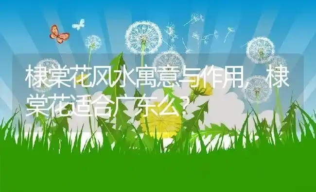 棣棠花风水寓意与作用,棣棠花适合广东么？ | 养殖科普