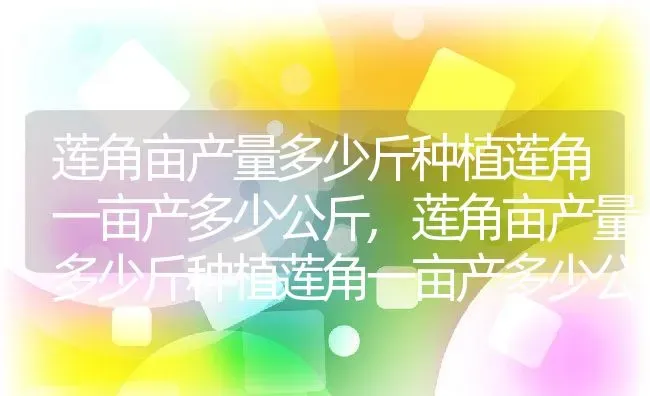 莲角亩产量多少斤种植莲角一亩产多少公斤,莲角亩产量多少斤种植莲角一亩产多少公斤 | 养殖科普