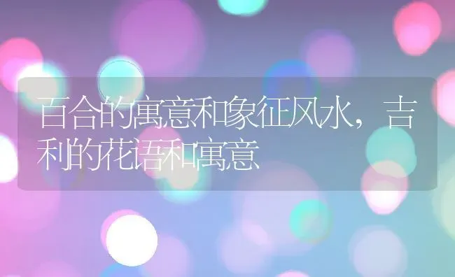 百合的寓意和象征风水,吉利的花语和寓意 | 养殖学堂