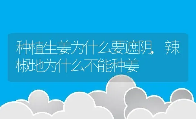 种植生姜为什么要遮阴,辣椒地为什么不能种姜 | 养殖学堂