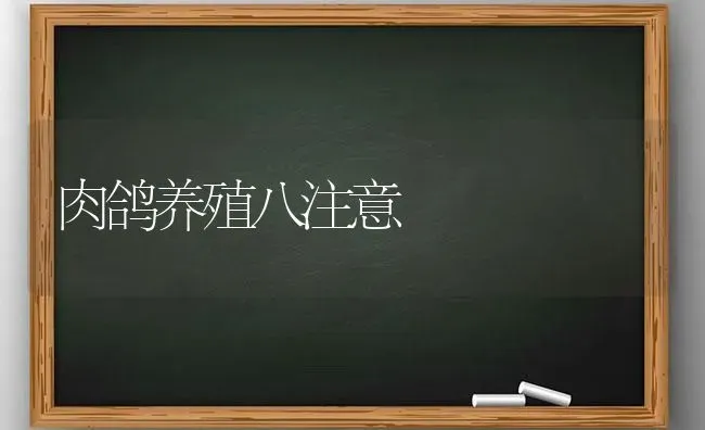 肉鸽养殖八注意 | 养殖技术大全