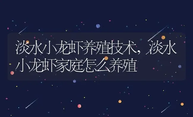 淡水小龙虾养殖技术,淡水小龙虾家庭怎么养殖 | 养殖学堂