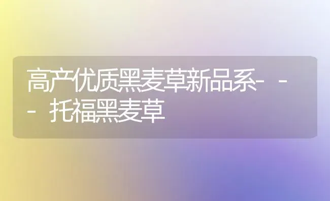 高产优质黑麦草新品系---托福黑麦草 | 养殖技术大全