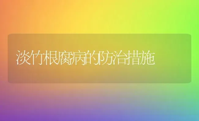 淡竹根腐病的防治措施 | 养殖知识