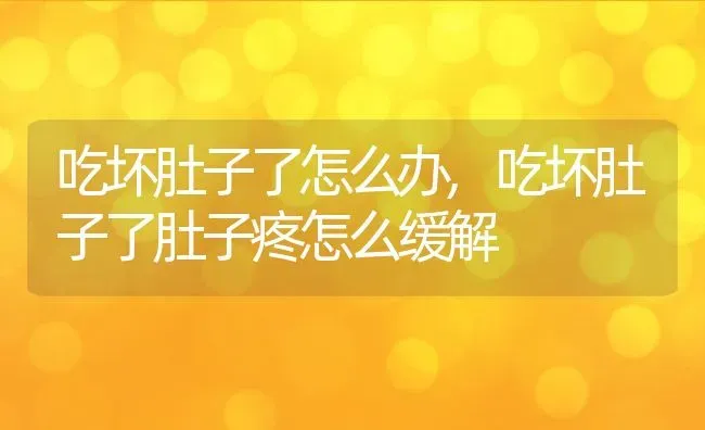 吃坏肚子了怎么办,吃坏肚子了肚子疼怎么缓解 | 养殖资料