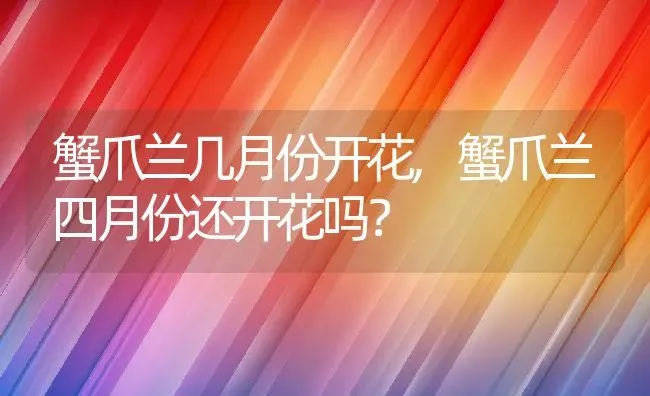 蟹爪兰几月份开花,蟹爪兰四月份还开花吗？ | 养殖科普