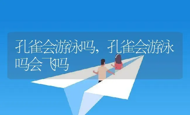 孔雀会游泳吗,孔雀会游泳吗会飞吗 | 养殖科普