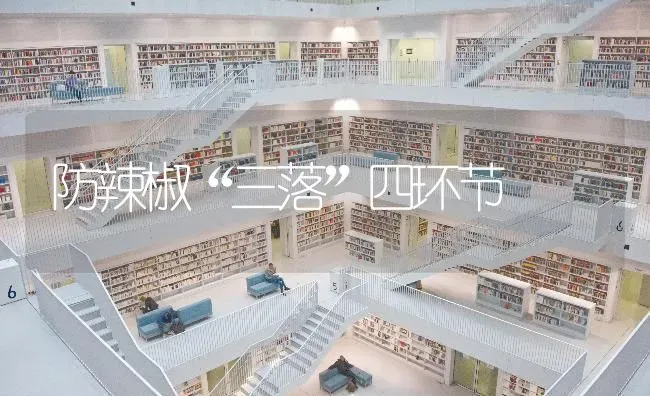 防辣椒“三落”四环节 | 养殖技术大全