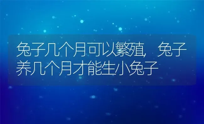 兔子几个月可以繁殖,兔子养几个月才能生小兔子 | 养殖学堂