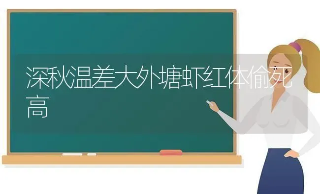 深秋温差大外塘虾红体偷死高 | 养殖技术大全