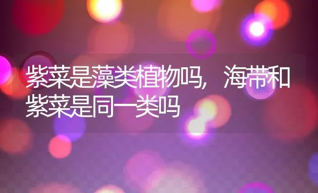 紫菜是藻类植物吗,海带和紫菜是同一类吗 | 养殖学堂