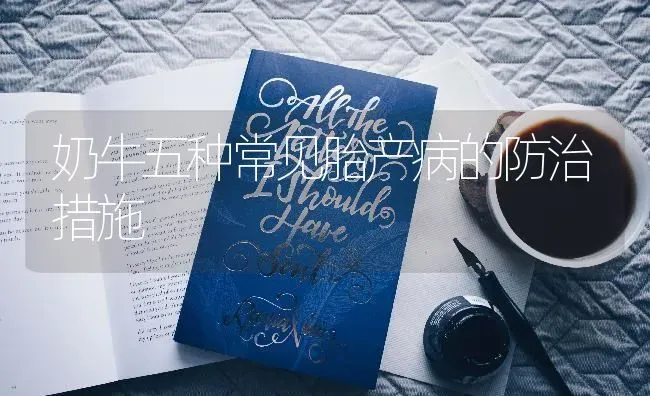 奶牛五种常见胎产病的防治措施 | 养殖知识