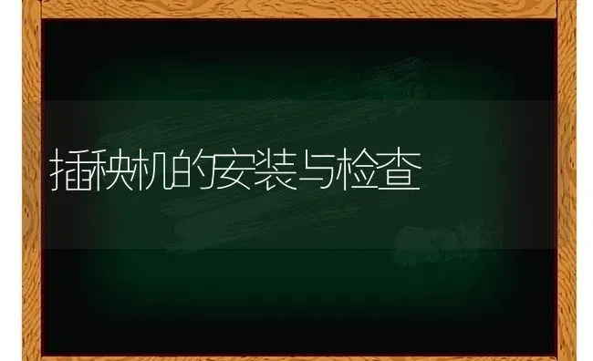 插秧机的安装与检查 | 养殖技术大全