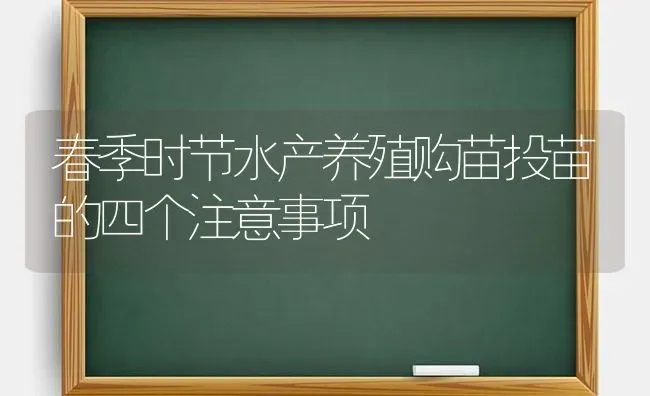 春季时节水产养殖购苗投苗的四个注意事项 | 养殖知识