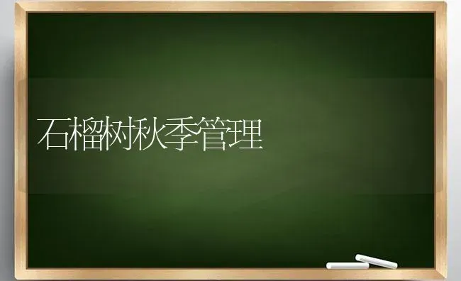 石榴树秋季管理 | 养殖知识