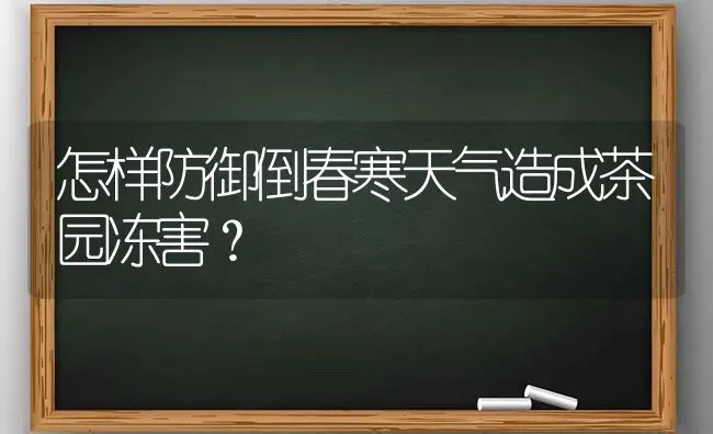 怎样防御倒春寒天气造成茶园冻害? | 养殖知识