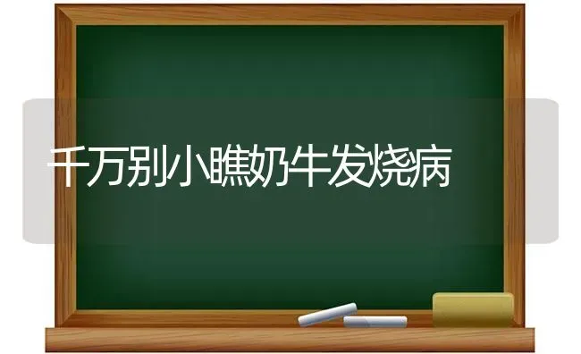 千万别小瞧奶牛发烧病 | 养殖技术大全