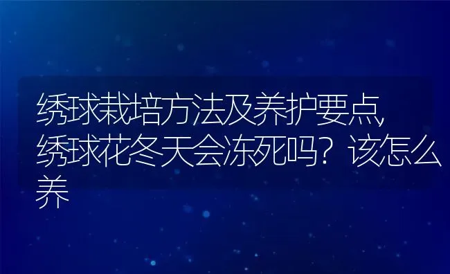 绣球栽培方法及养护要点,绣球花冬天会冻死吗？该怎么养 | 养殖学堂