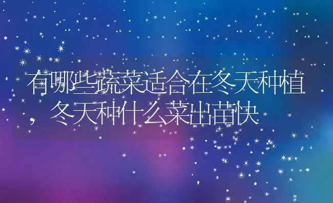 有哪些蔬菜适合在冬天种植,冬天种什么菜出苗快 | 养殖学堂