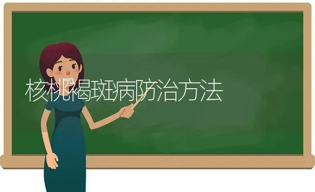 核桃褐斑病防治方法 | 养殖技术大全