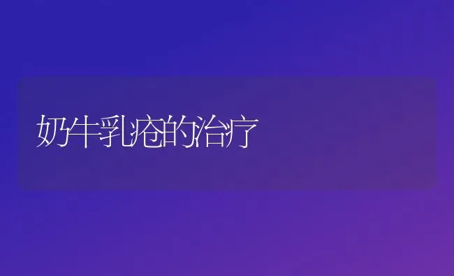 奶牛乳疮的治疗 | 养殖知识