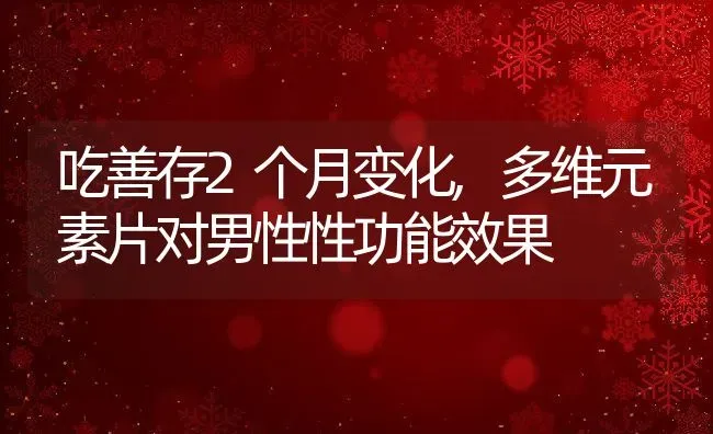 吃善存2个月变化,多维元素片对男性性功能效果 | 养殖科普