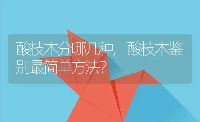 酸枝木分哪几种,酸枝木鉴别最简单方法？ | 养殖科普