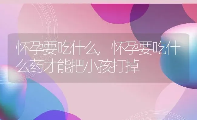 怀孕要吃什么,怀孕要吃什么药才能把小孩打掉 | 养殖科普