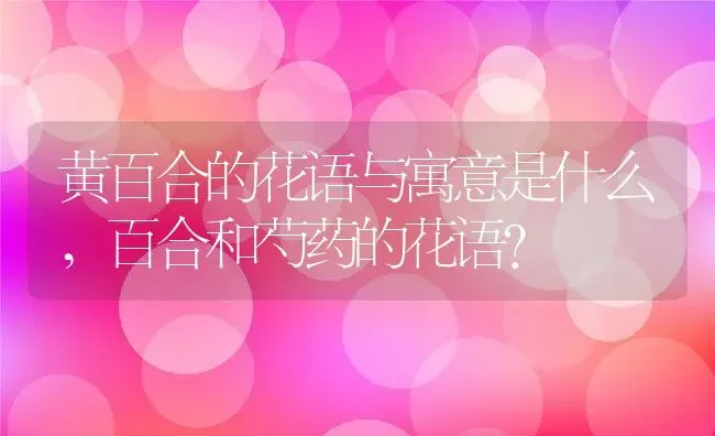 黄百合的花语与寓意是什么,百合和芍药的花语？ | 养殖科普