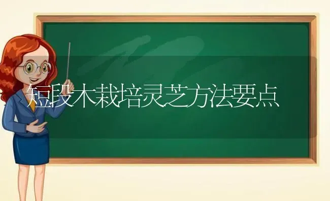 短段木栽培灵芝方法要点 | 养殖技术大全