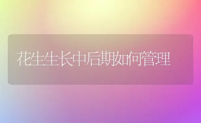 花生生长中后期如何管理 | 养殖知识