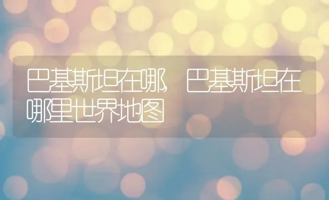 巴基斯坦在哪,巴基斯坦在哪里世界地图 | 养殖科普