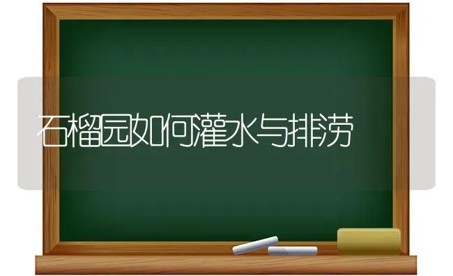 石榴园如何灌水与排涝 | 养殖技术大全