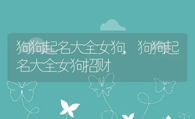 狗狗起名大全女狗,狗狗起名大全女狗招财 | 养殖科普