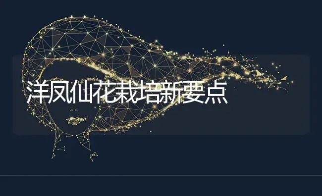 洋凤仙花栽培新要点 | 养殖技术大全