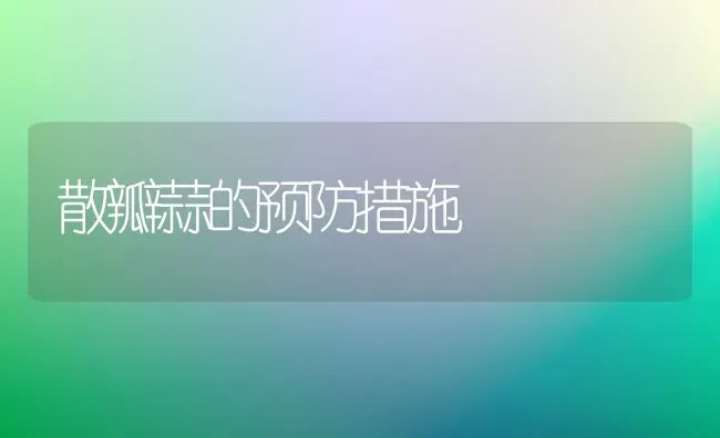 散瓣蒜的预防措施 | 养殖知识