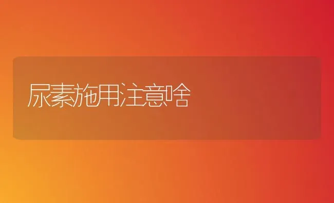 尿素施用注意啥 | 养殖技术大全