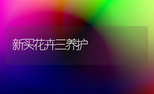 新买花卉三养护 | 养殖知识