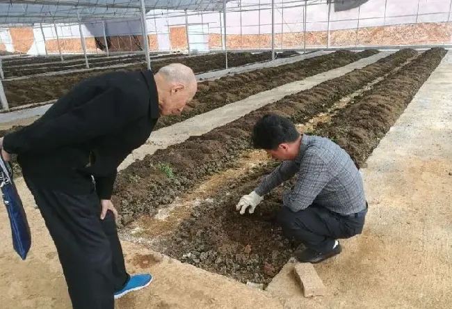蚯蚓室内养殖新技术 | 常识大全