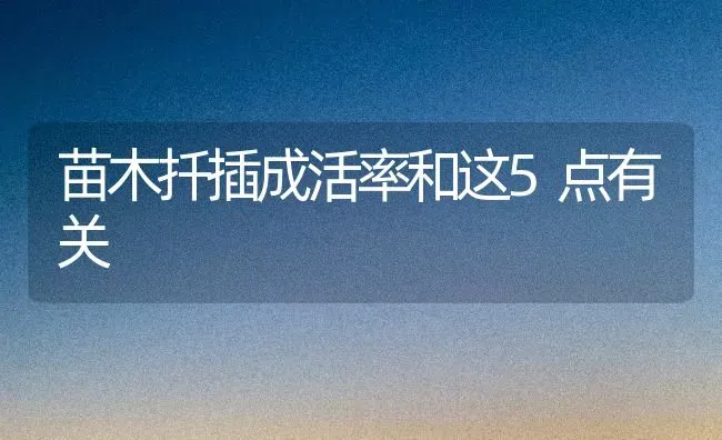 苗木扦插成活率和这5点有关 | 养殖技术大全