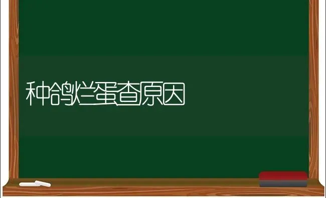 适合一次性收获的绿豆“高氏永康”一号 | 养殖知识