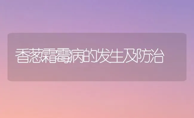 香葱霜霉病的发生及防治 | 养殖技术大全