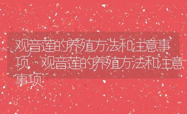 观音莲的养殖方法和注意事项,观音莲的养殖方法和注意事项 | 养殖科普