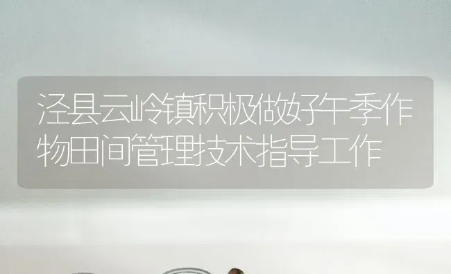 泾县云岭镇积极做好午季作物田间管理技术指导工作 | 养殖技术大全