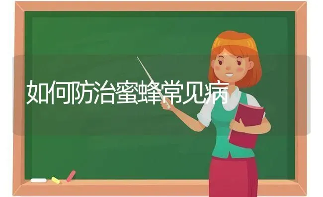 如何防治蜜蜂常见病 | 养殖知识