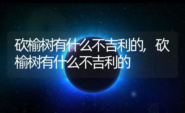 姑娘果的功效与作用及食用方法,姑娘果的功效与作用及食用方法 | 养殖科普