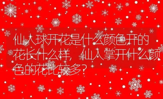 仙人球开花是什么颜色开的花长什么样,仙人掌开什么颜色的花比较多？ | 养殖科普