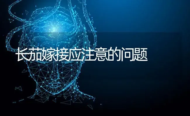 长茄嫁接应注意的问题 | 养殖知识