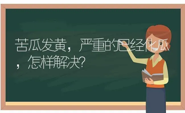 柑橘幼树11月管理要点 | 养殖技术大全