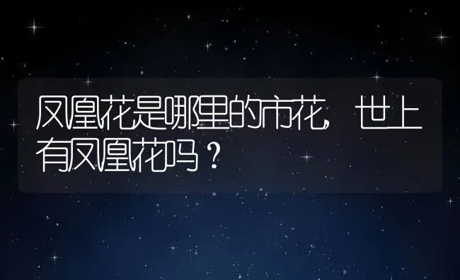 凤凰花是哪里的市花,世上有凤凰花吗？ | 养殖科普